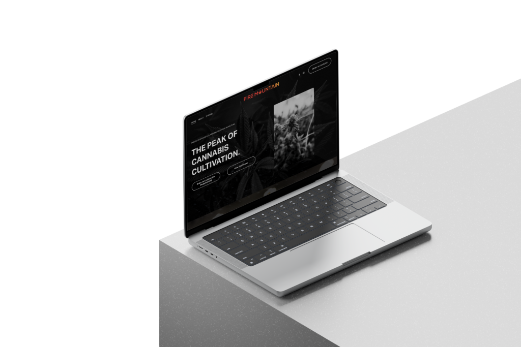 firemountain web mockup