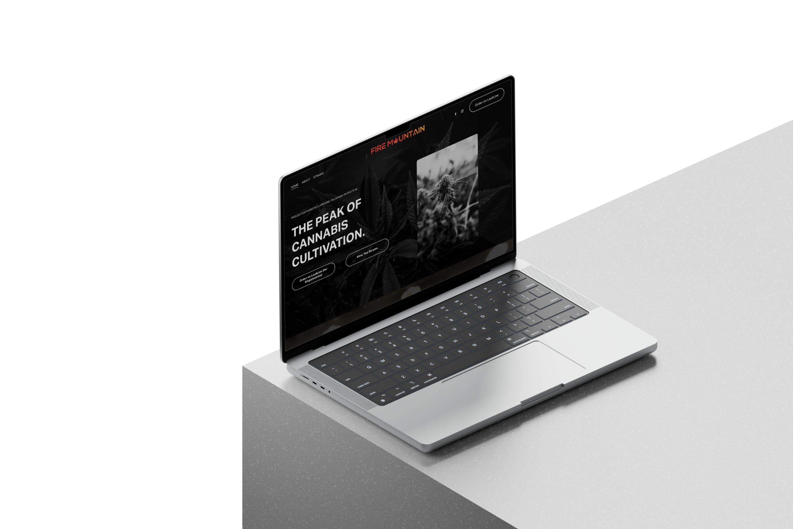 firemountain web mockup